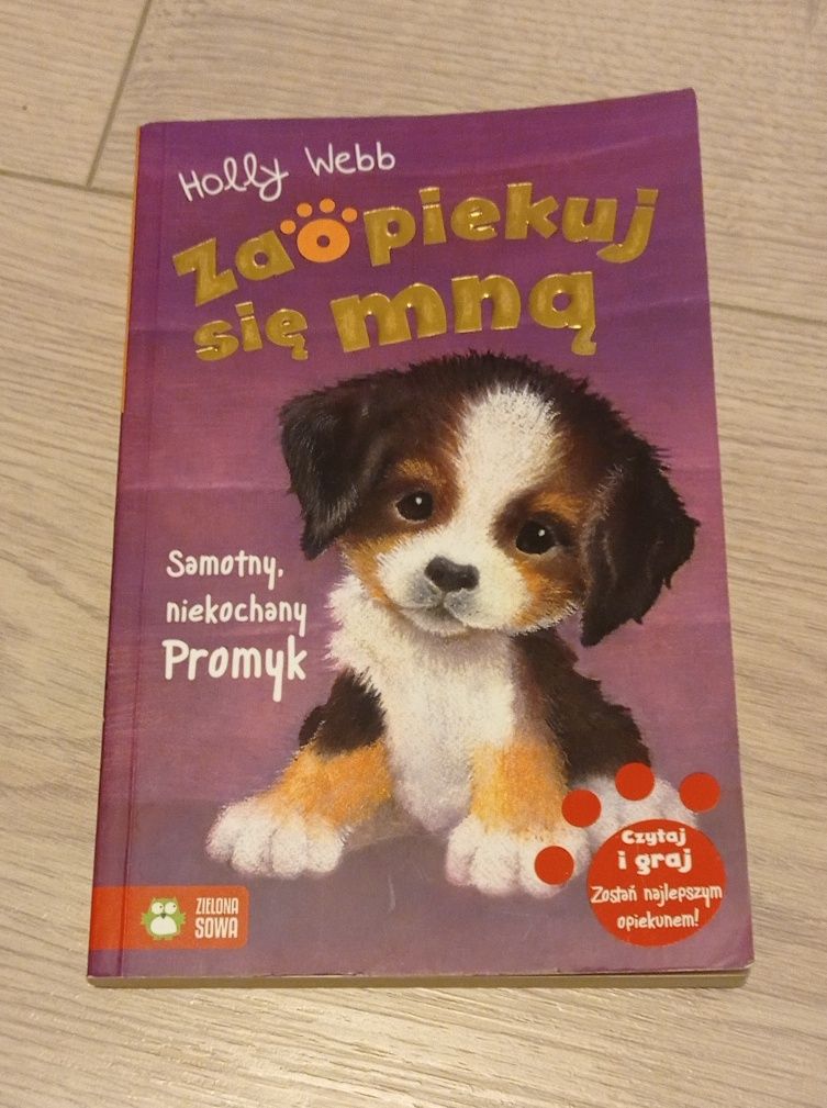 Książka ,,Samotny, niekochany Promyk" Holly Webb