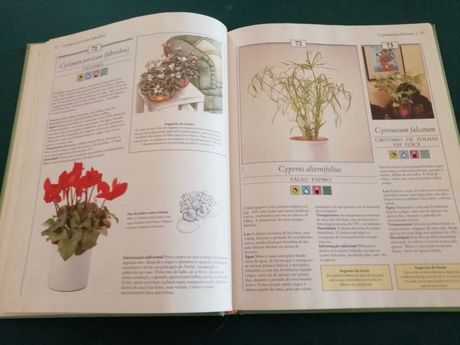 200 Plantas de Interior