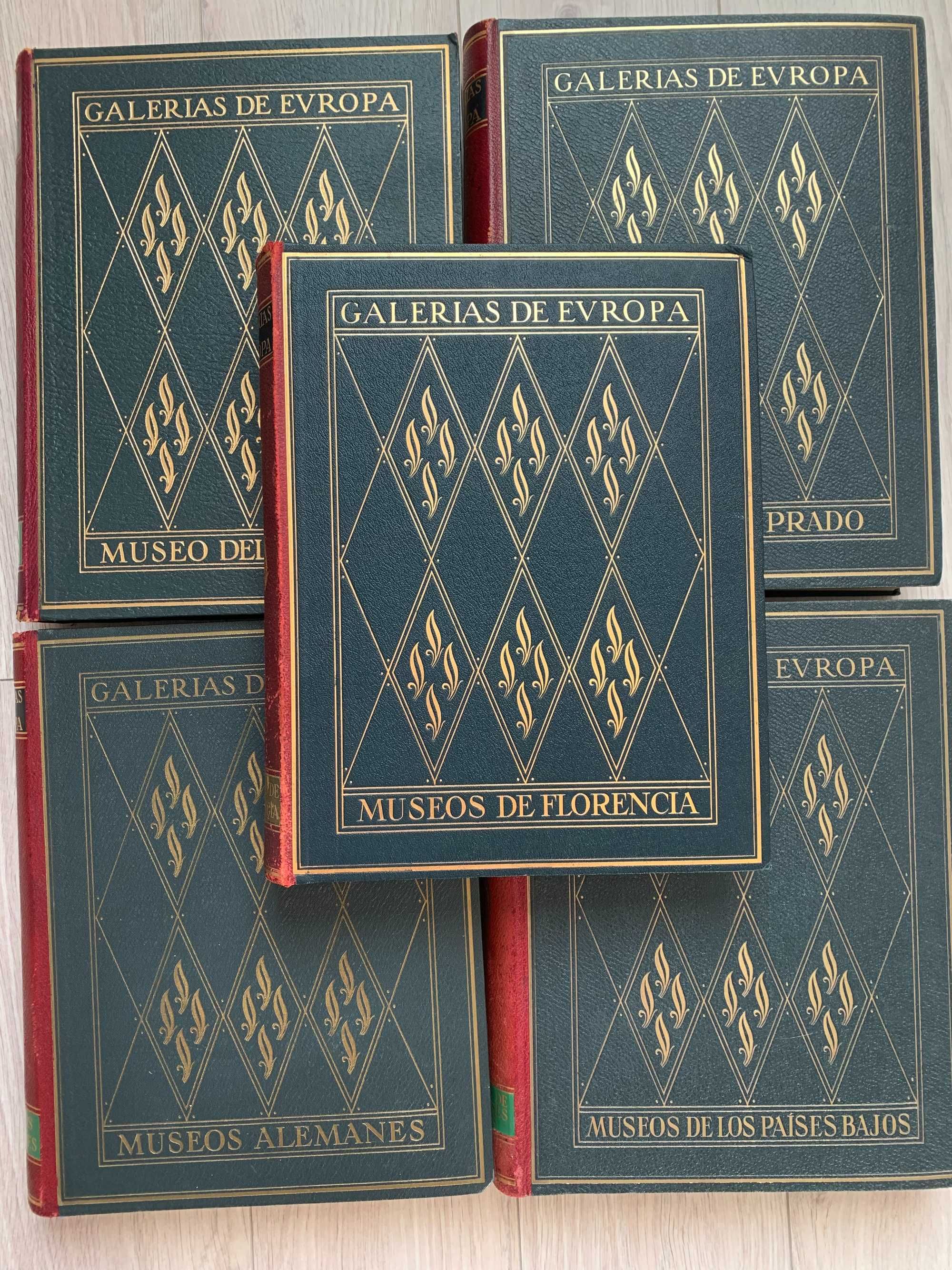 Альбом"Галерея картин Европи-Музеї Флоренції"60 репр.картин. 25,5*32,5