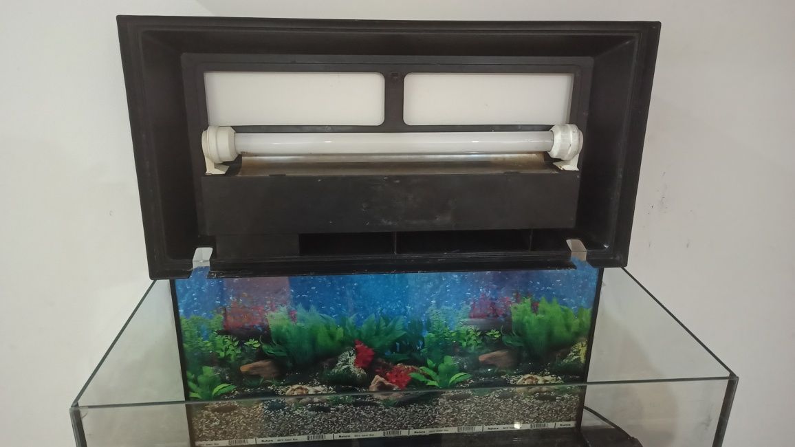 Aquário 60x30x30
