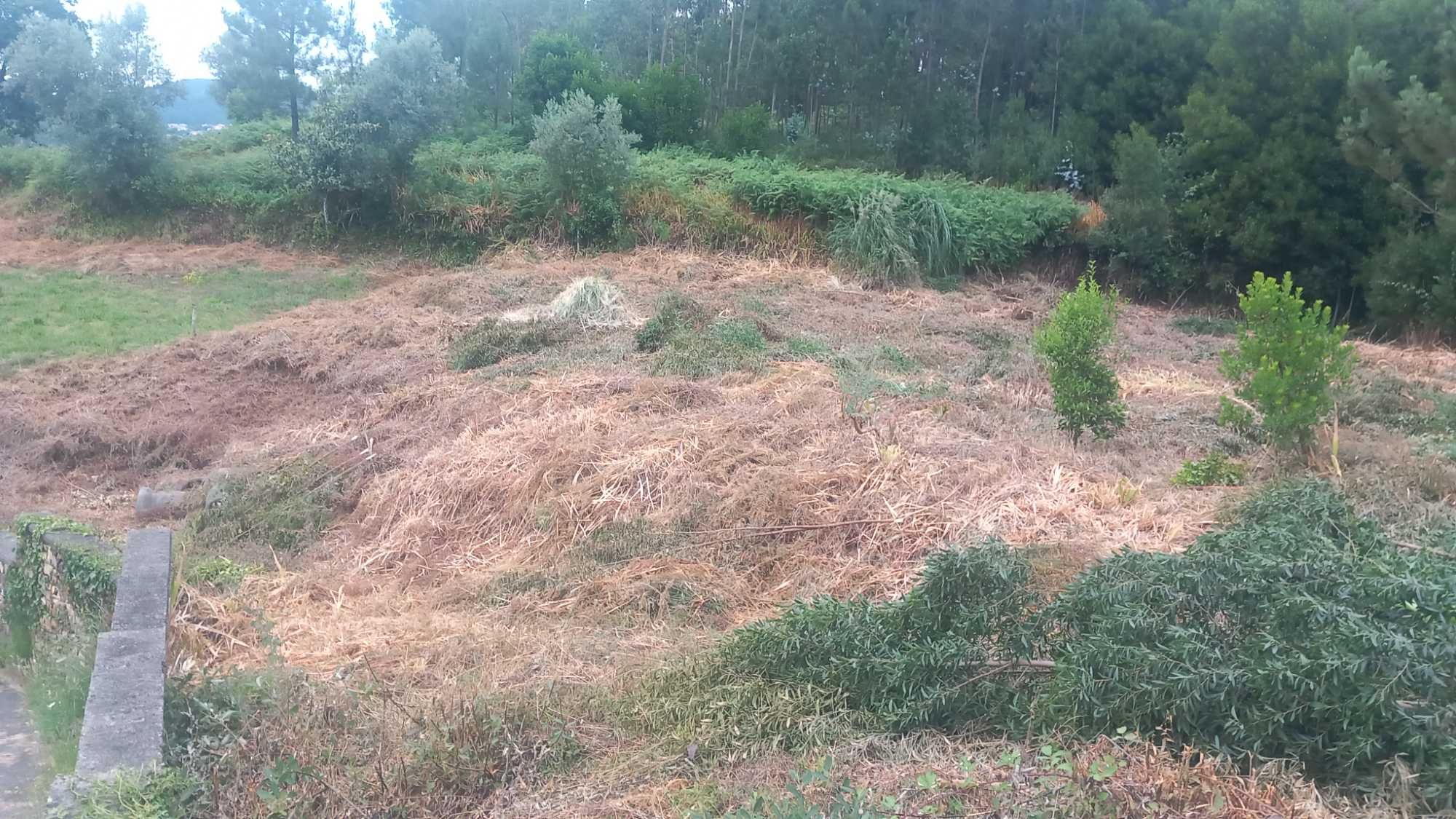 Vendo terreno1100m2
