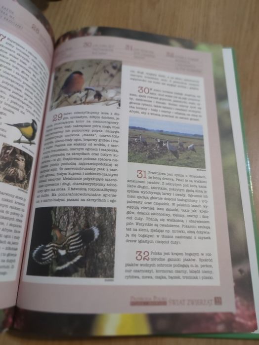 Przyroda Polska pytania i odpowiedzi