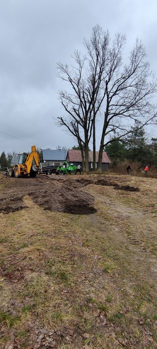 Czyszczenie działek wycinka drzew karczowanie mulczowanie terenu