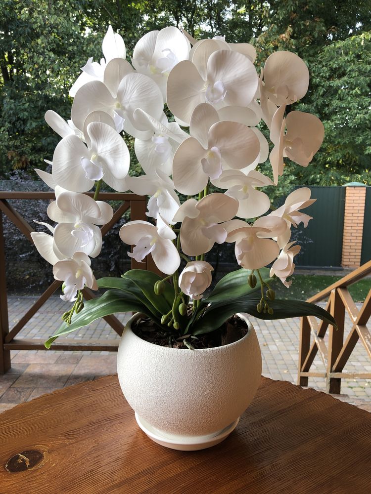 Латексная орхидея VIP .Высота 60 см.