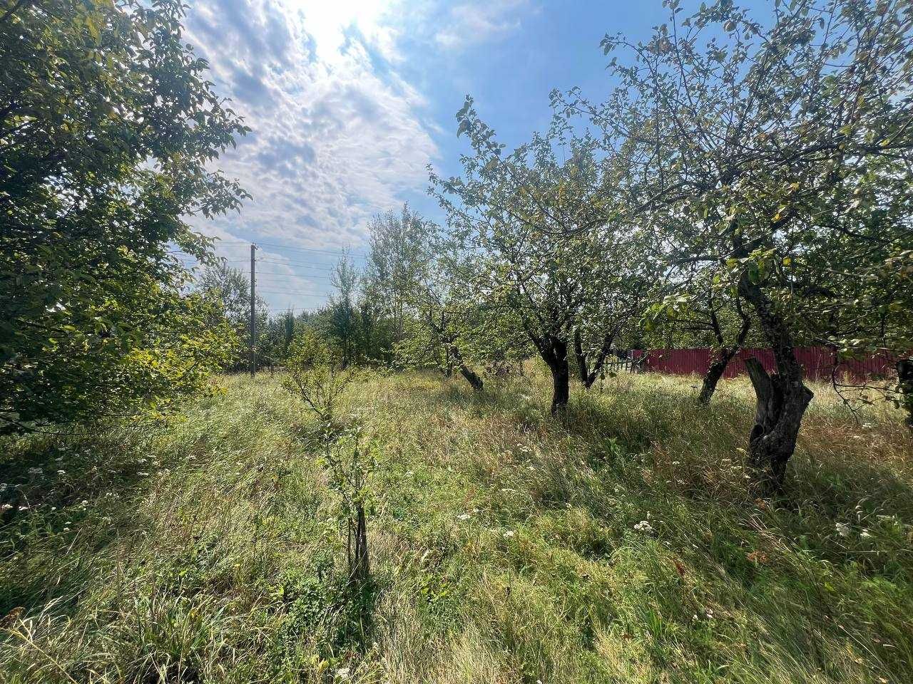 Продаж ділянки 22 сотки під забудову. Світло.Газ.Криниця. ТОРГ. ID:613