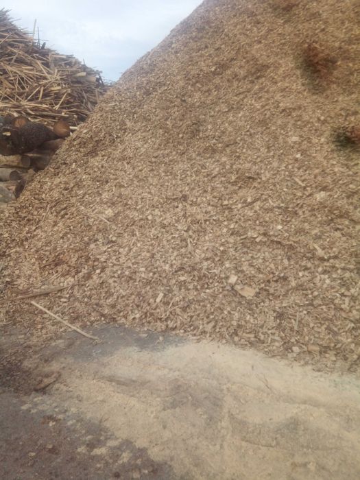 Zrębka drzewna Tartaczna