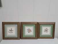Quadros e moldura