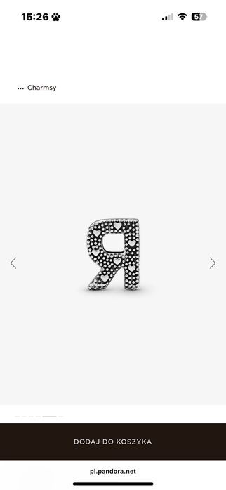 Charms srebro Pandora