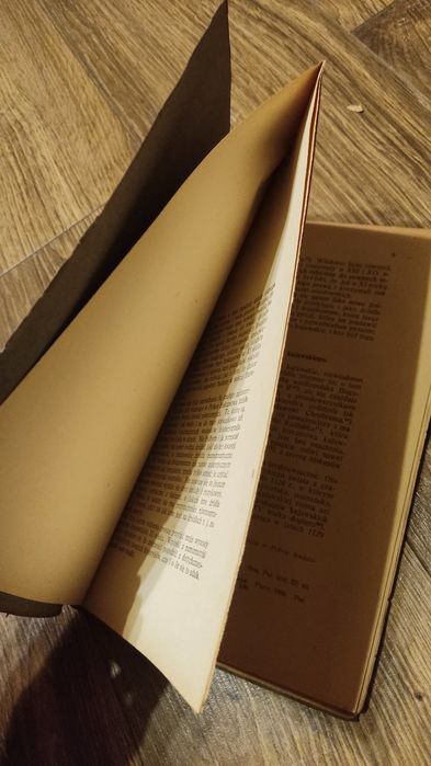 Biskupstwo Kruszwickie w XI wieku – M. Gumowski, Poznań 1921, stan dob