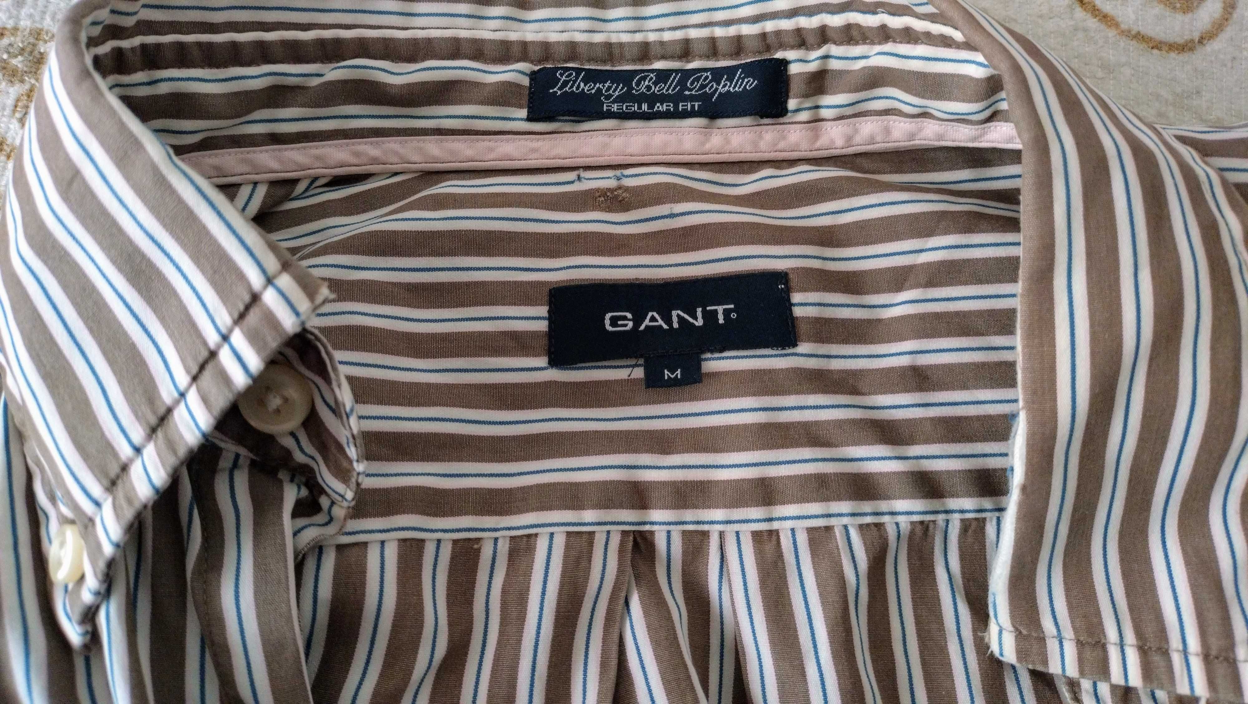 Camisa Homem Gant Tam: M