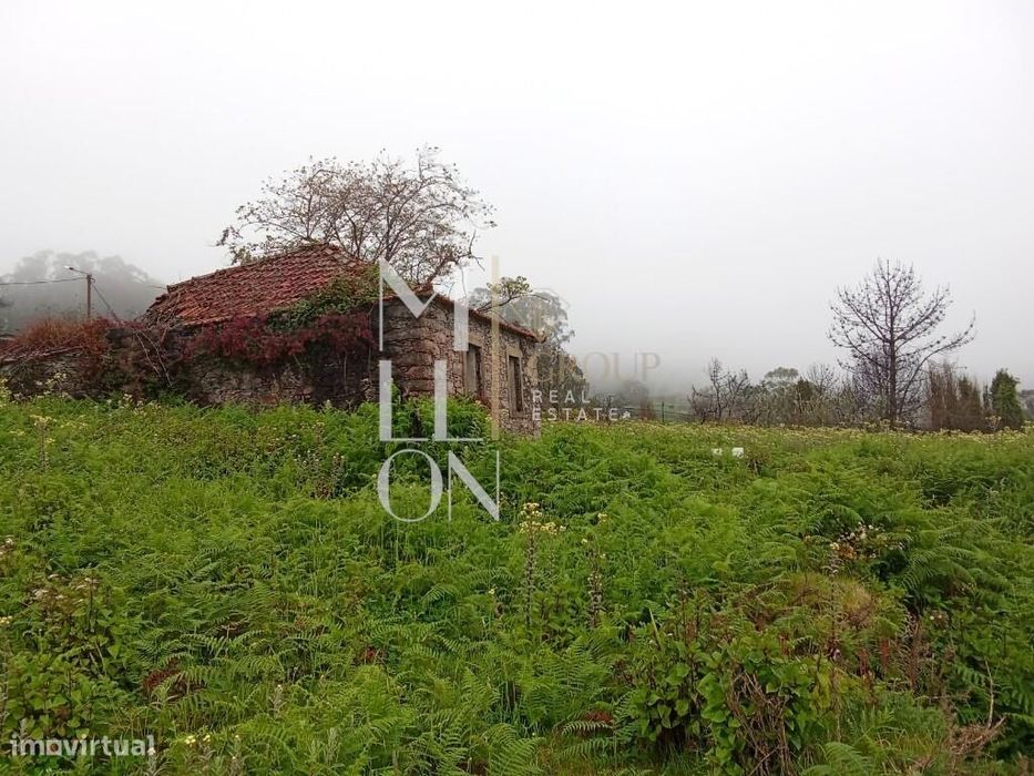 Venda Terreno