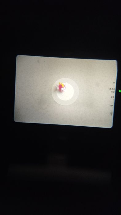 Praktica bca + prakticar 28-70