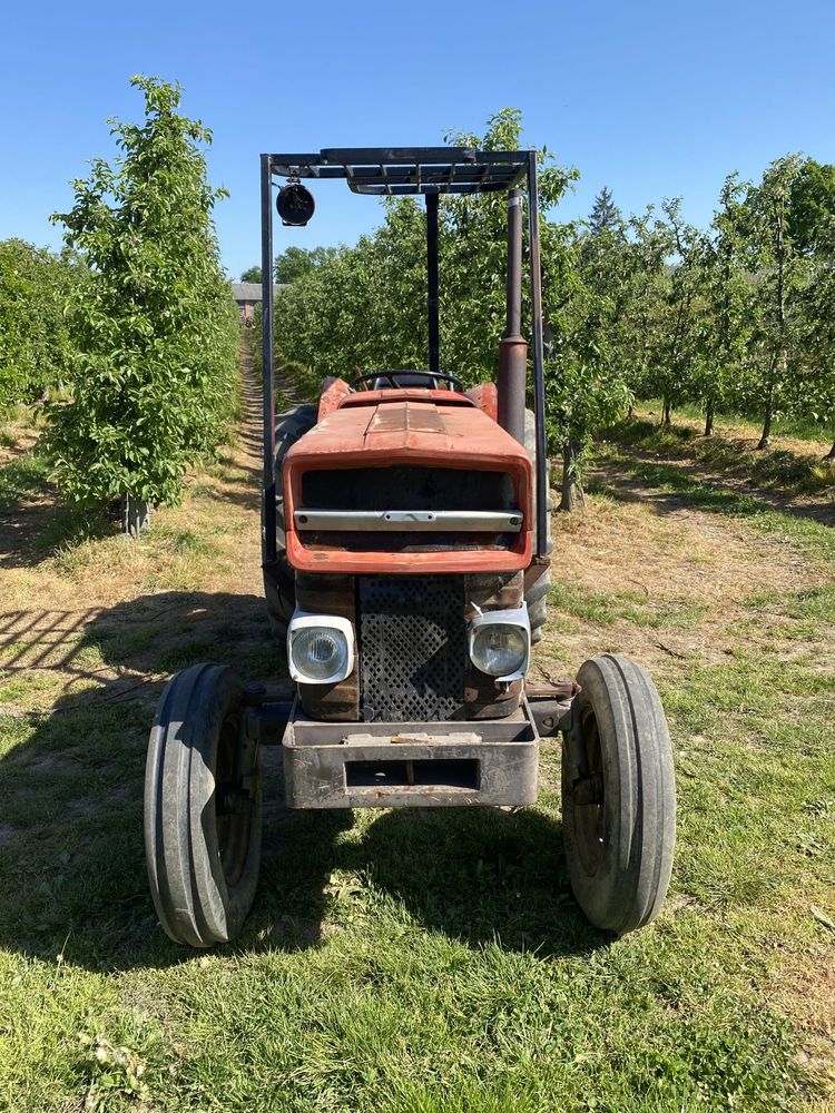 MASSEY FERGUSON MF 158 mklll 4cyl 58KM, sadowniczy, gruby most,255,135