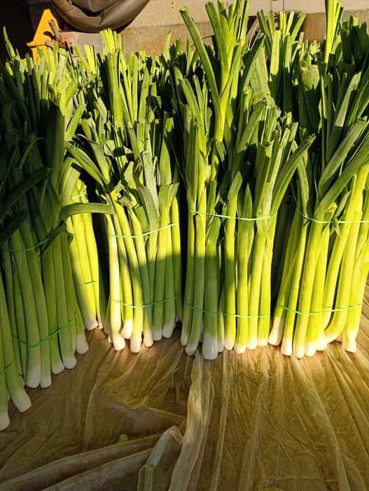 Sprzedam pory letnie