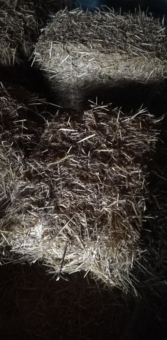 Słoma mała kostka i duże bele 120