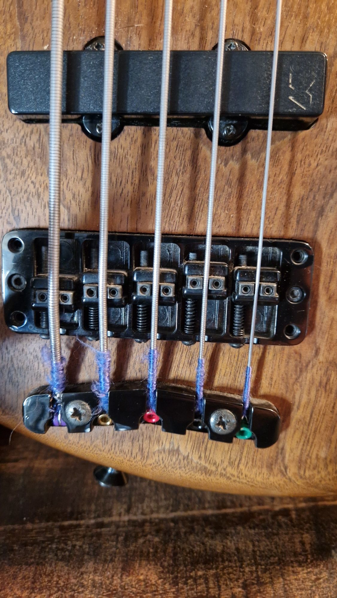 Bas GMR V fretless