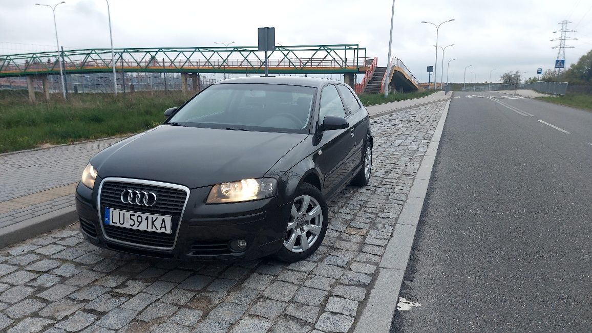 Audi A3 8P 2006 1.9 TDI 105km Duży Gril