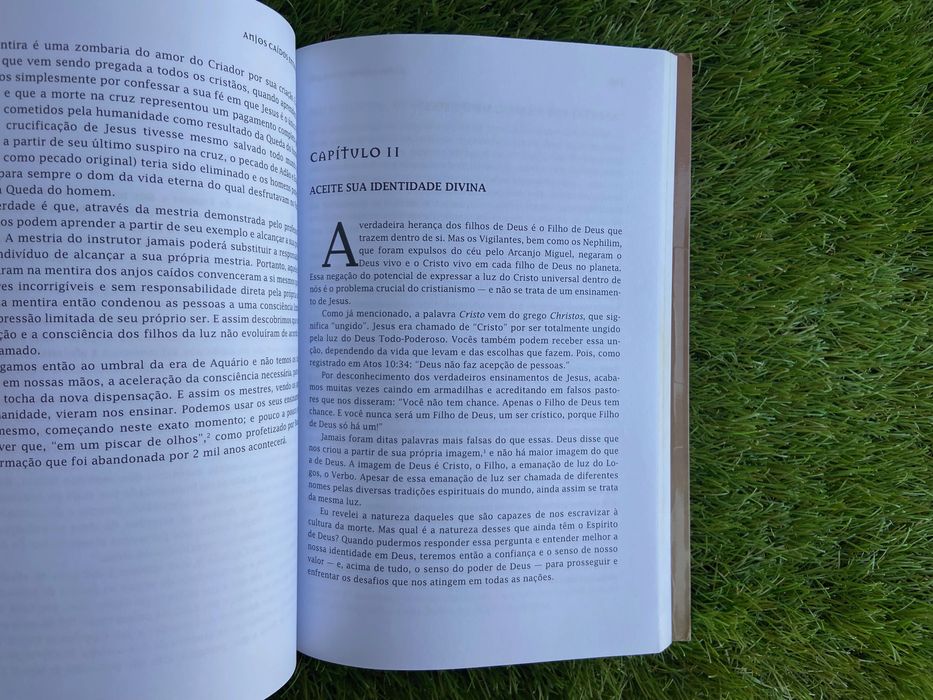 Livro "Anjos Caídos Entre Nós" de Elizabeth Clare Prophet