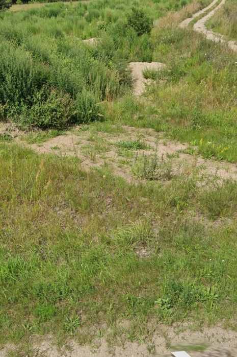 Sprzedam działkę budowlaną