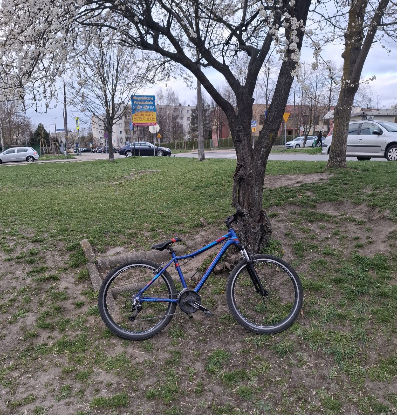 Rower mtb onilus muranus 1.0