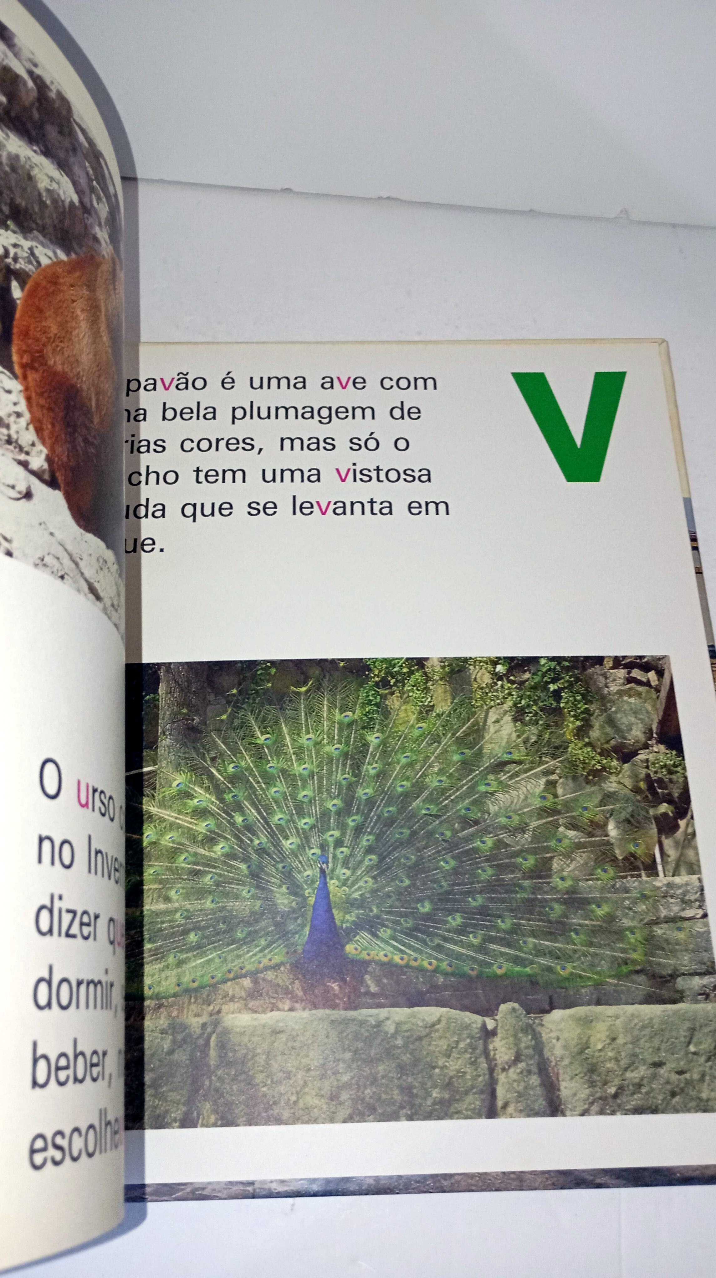 ABC do Zoológico