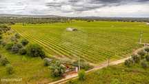 Terreno  para venda