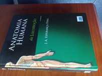 Anatomia Humana da locomoção