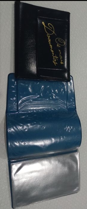 Porta-documentos ou porta-cartões (15 separadores)