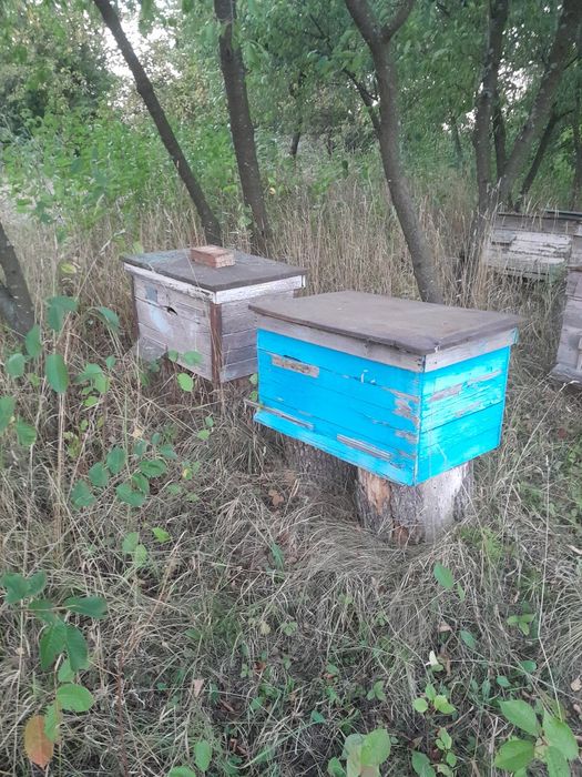 Продам вулики в непоганому стані
