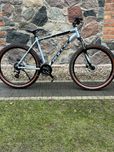 Rower MTB Bulls Wildtail