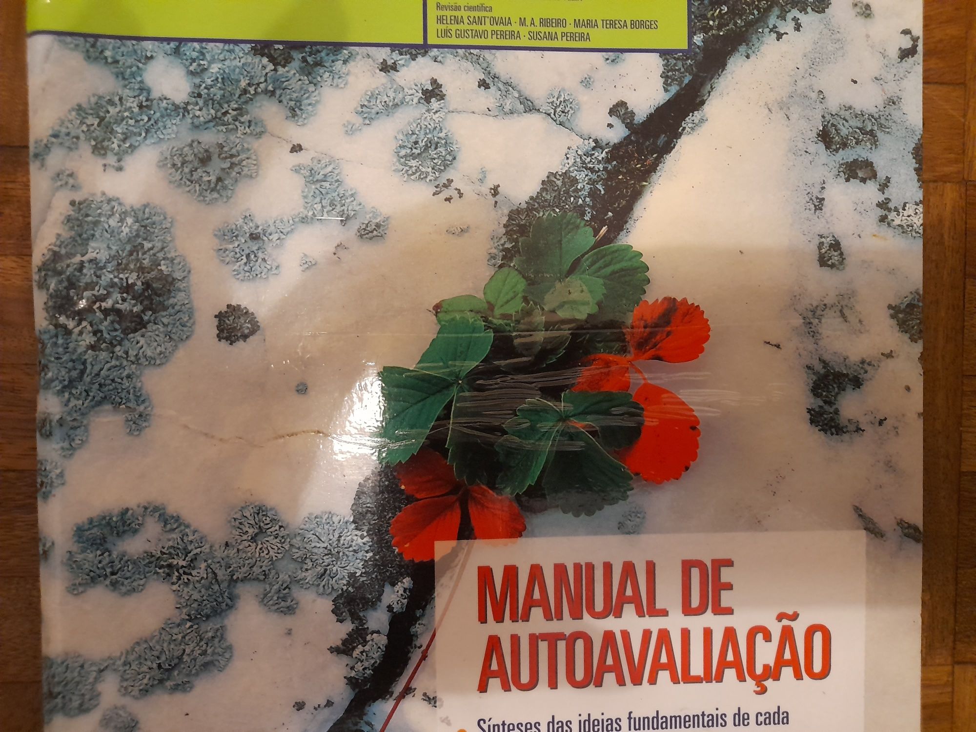 Manual de autoavaliação