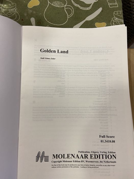 Obra original para banda! GOLDEN LAND(saul soler)novo!!
