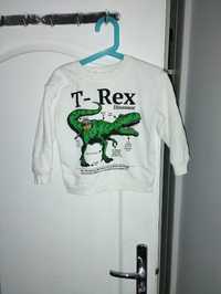 Bluza chłopięca T-rex h&m