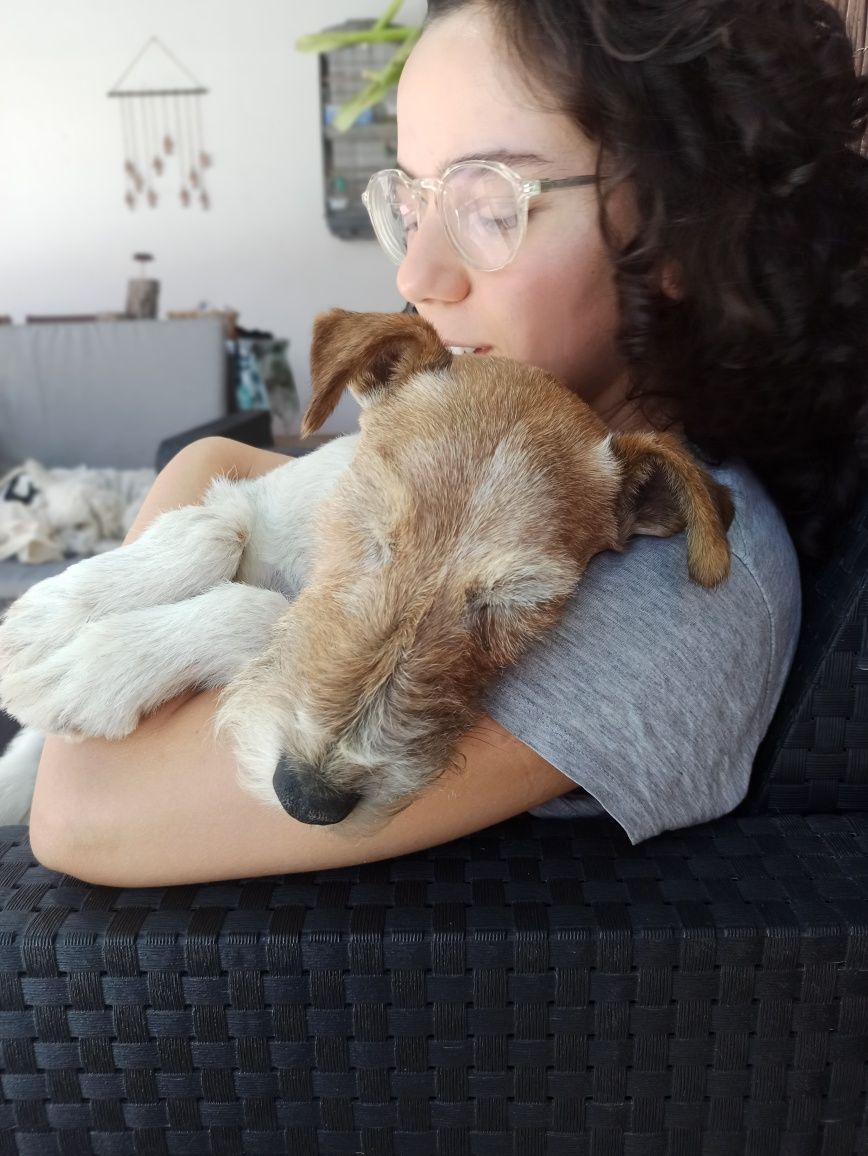 Petsitting /Deixe o seu patudo no nosso Lar!