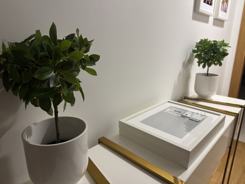 2 Vasos com plantas IKEA