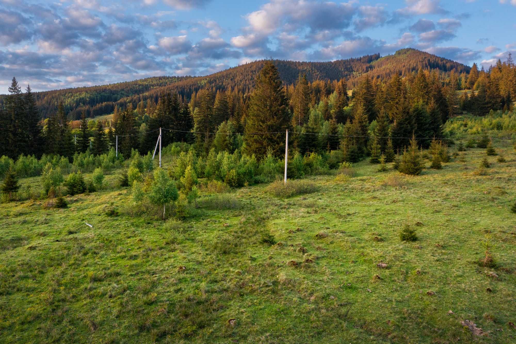 Земельна ділянка у с. Стаїще (Верховинська ОТГ) площею 120 сотих