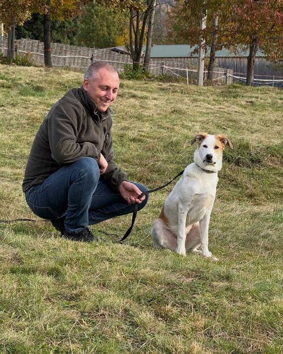 Кузя, метис, шукає дім