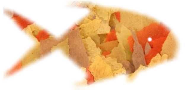 BASIC-MIX - płatki pokarm podstawowy 100g NAJLEPSZY