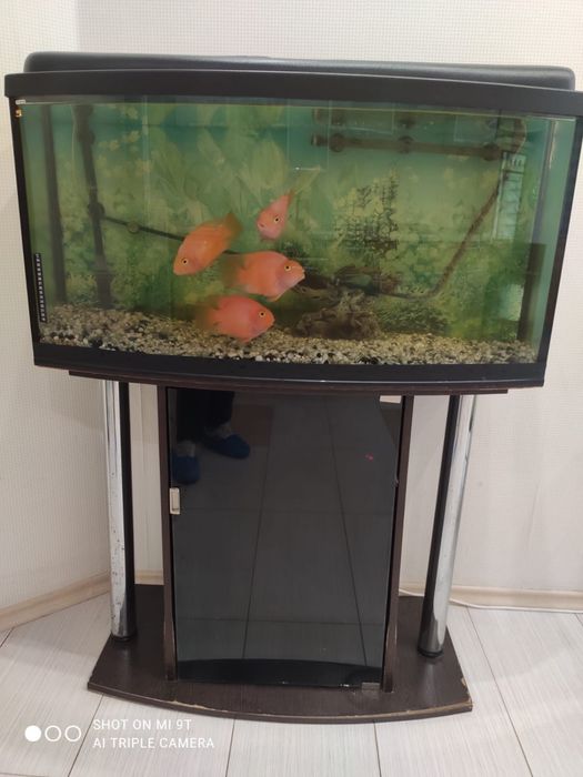 Акваріум із рибками та обладнанням 200 л