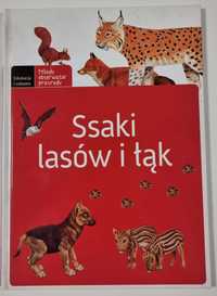 Ssaki lasów i łąk