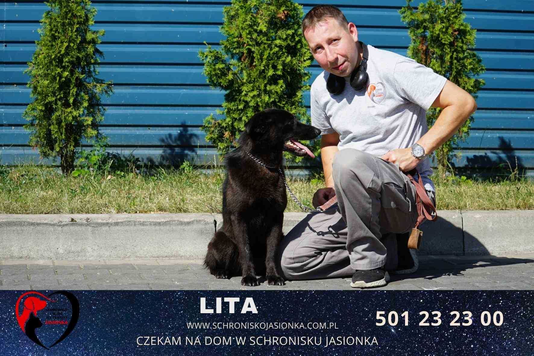 LITA-do adopcji schronisko Jasionka