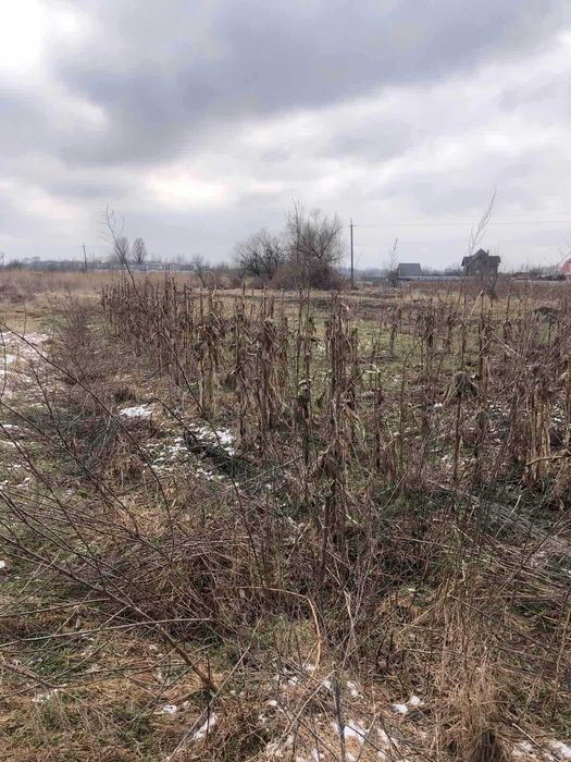 Пропоную до продажу земельну ділянку в с. Червона слобода