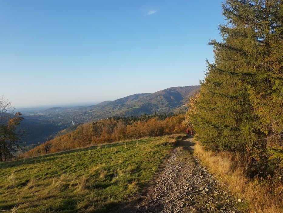 Pokoje do wynajęcia "U Wolfów" Górki Wielkie gm.Brenna