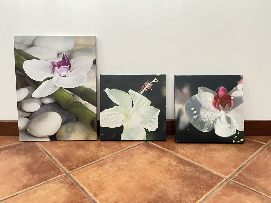 Conjunto de 3 quadros