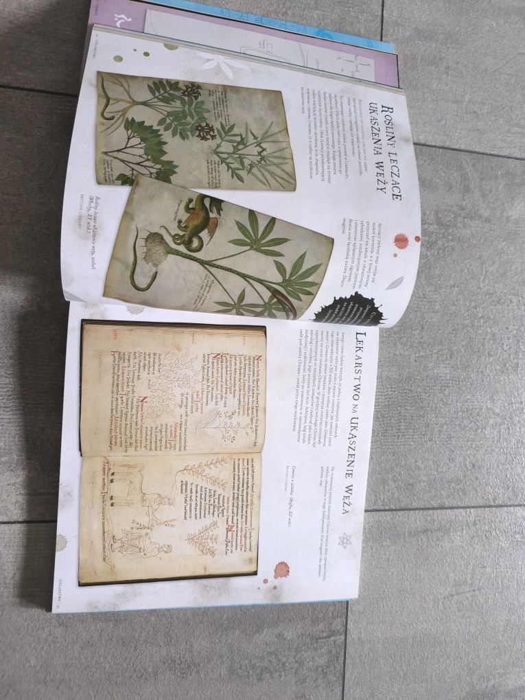Książka "Harry Potter podróż przez historię magiii"
