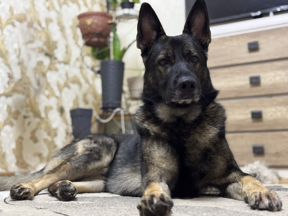 Шукаємо дівчинку для в’язки