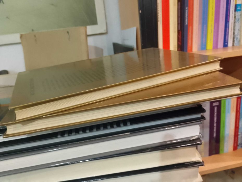 Maria, Mãe de Jesus + Maria, Mãe dos Homes (2 volumes)