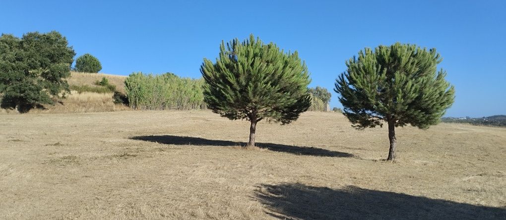 Terreno para Quintinha