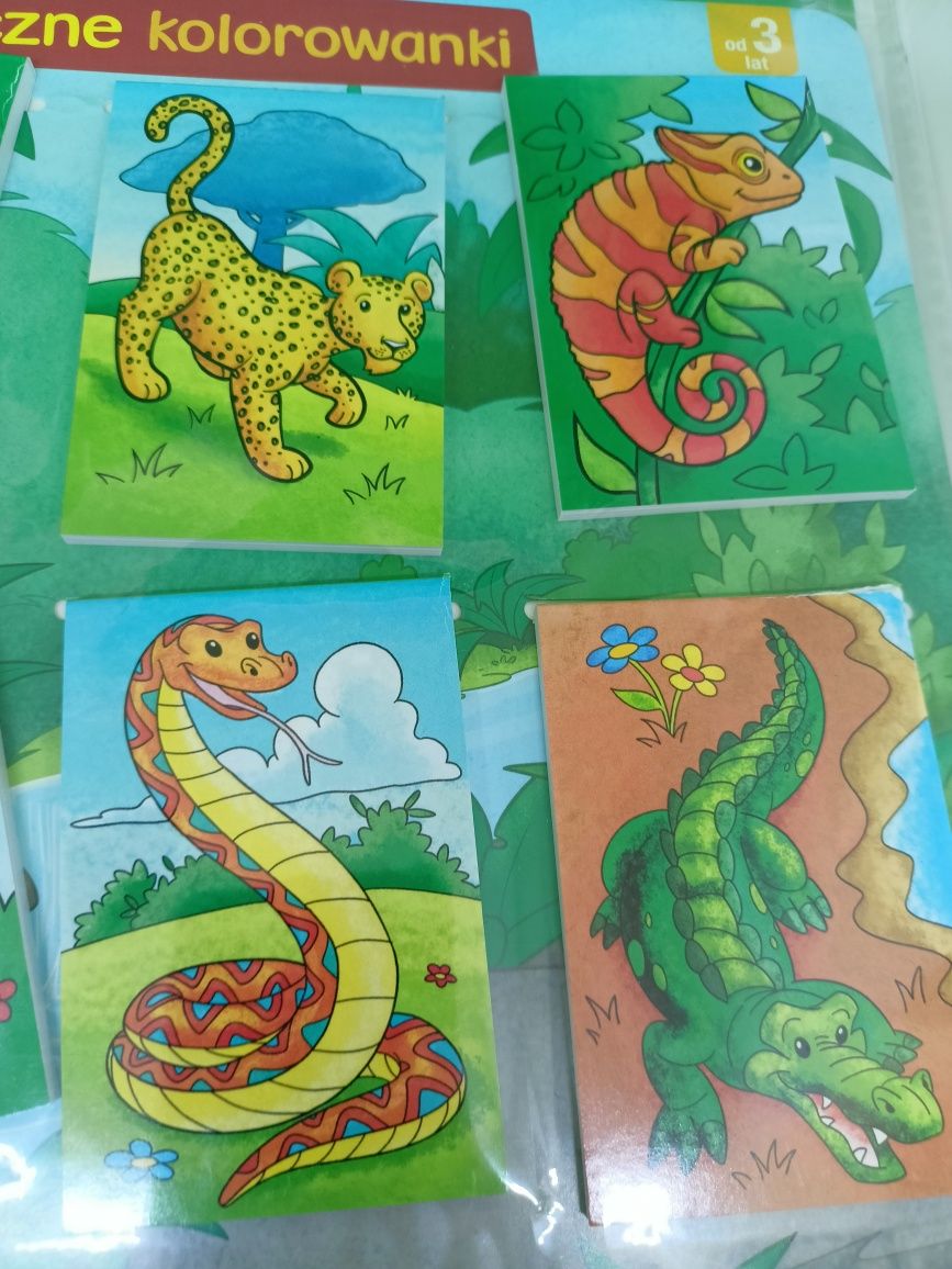 Magiczne kolorowanki art. A 242.