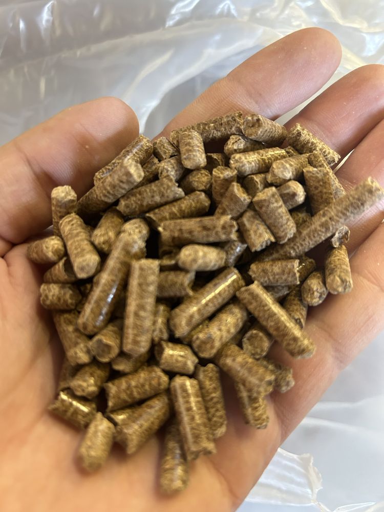 Pellet dębowy - dostawa gratis *